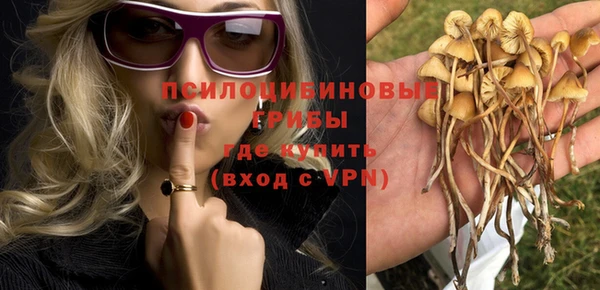 кристаллы Горняк