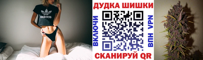 Купить закладки  Пудож  Каннабис ГИДРОПОН 